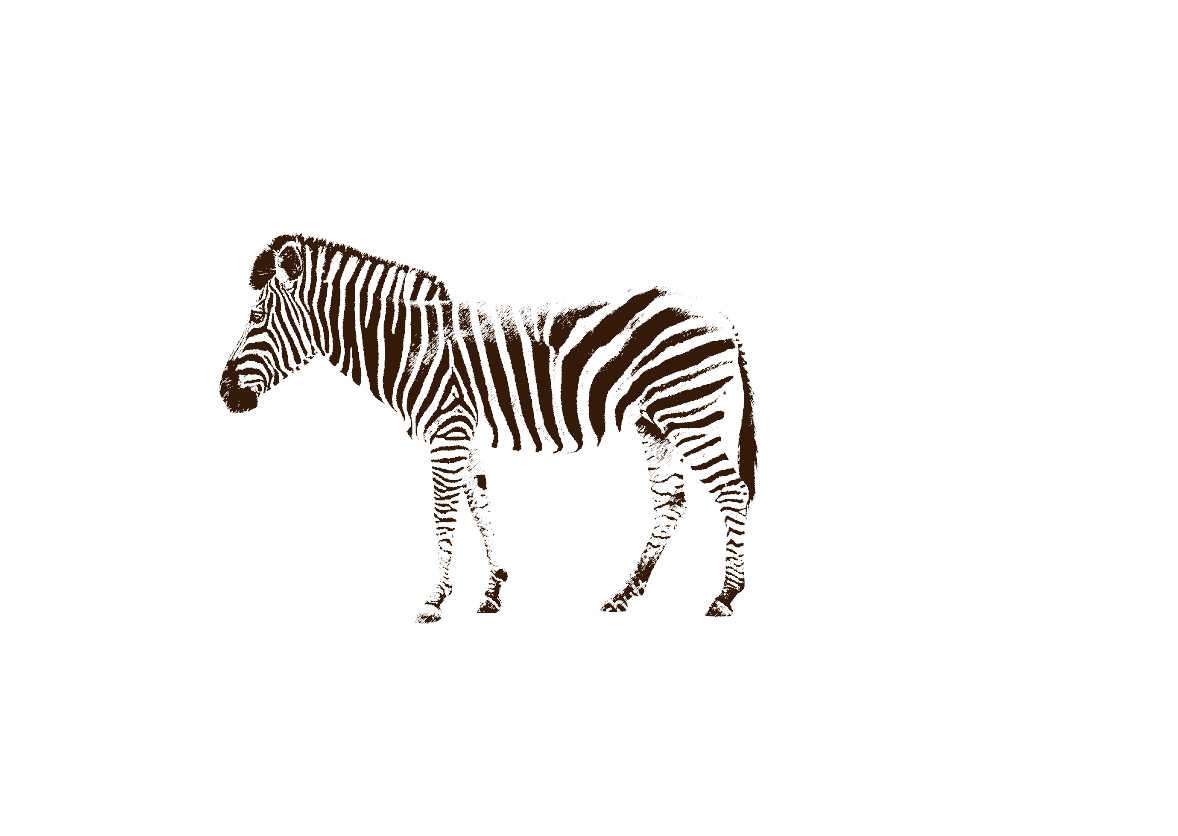 Zebra im Farmerhaus